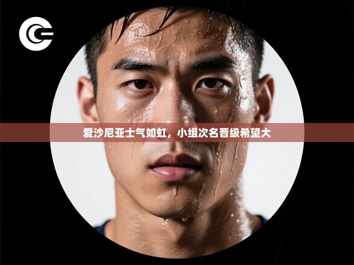 爱沙尼亚士气如虹，小组次名晋级希望大  第2张