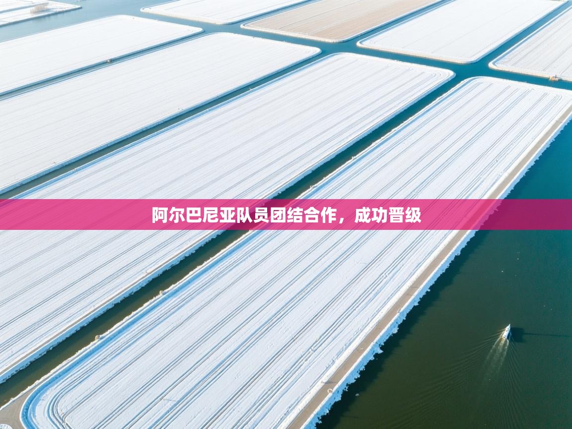 阿尔巴尼亚队员团结合作，成功晋级