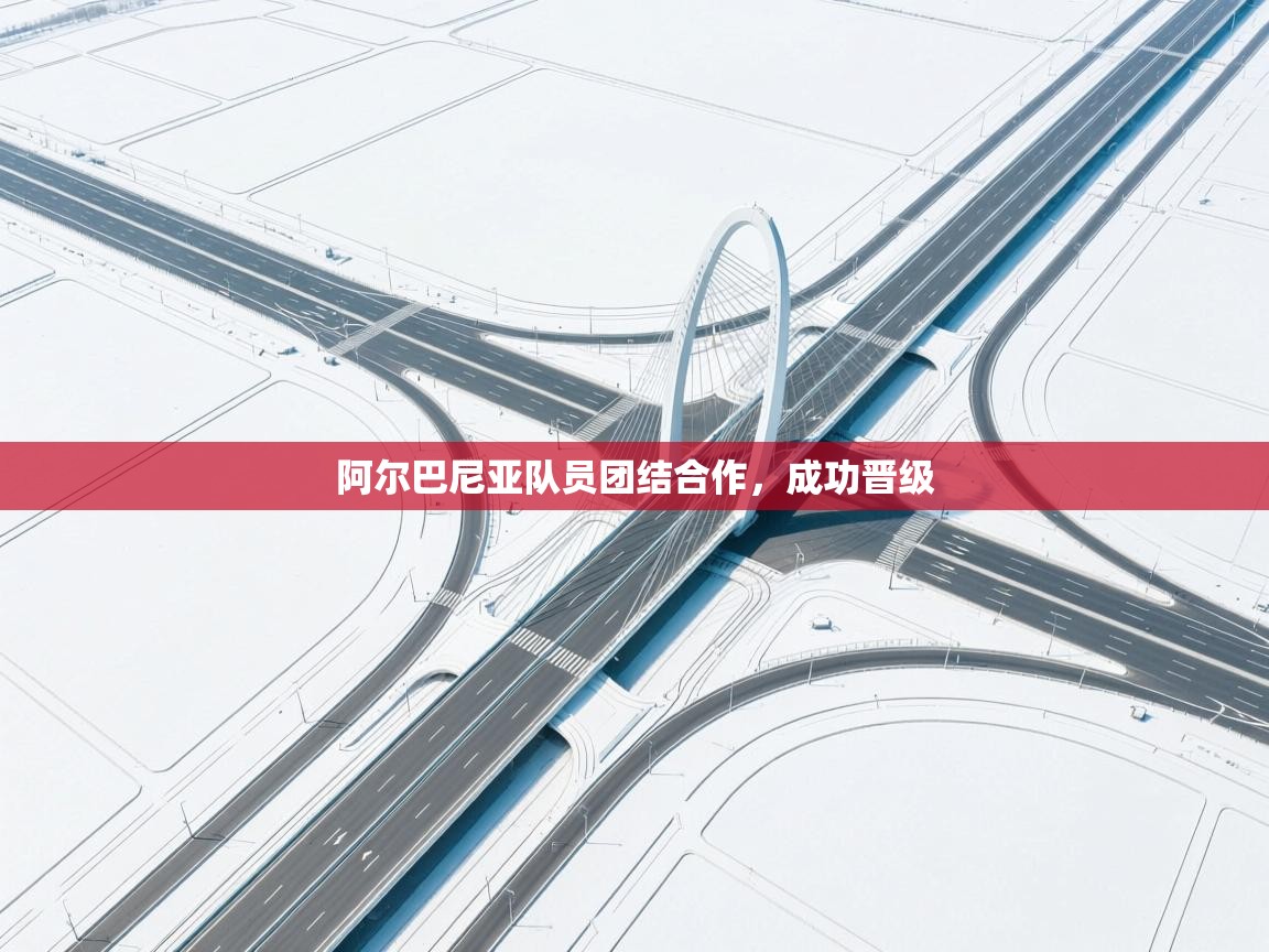 阿尔巴尼亚队员团结合作，成功晋级  第2张