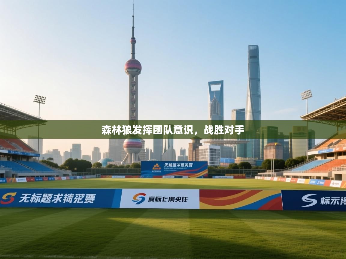 森林狼发挥团队意识,战胜对手 第2张