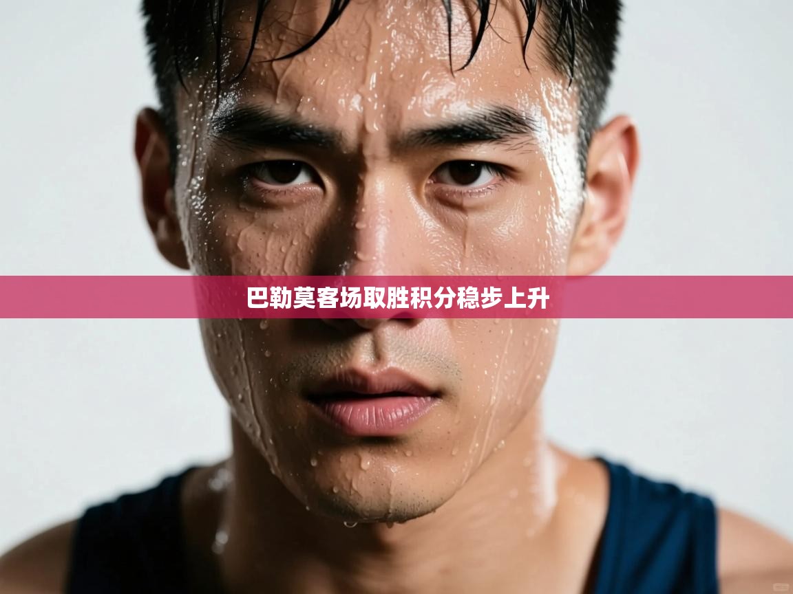 巴勒莫客场取胜积分稳步上升